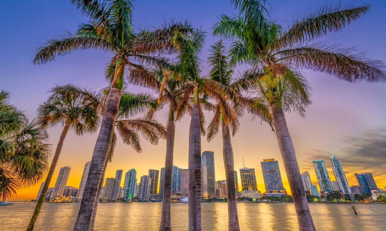 A view of the city skyline from across the water.