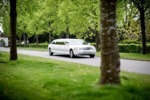 Glamorous bachelorette limo entrance.